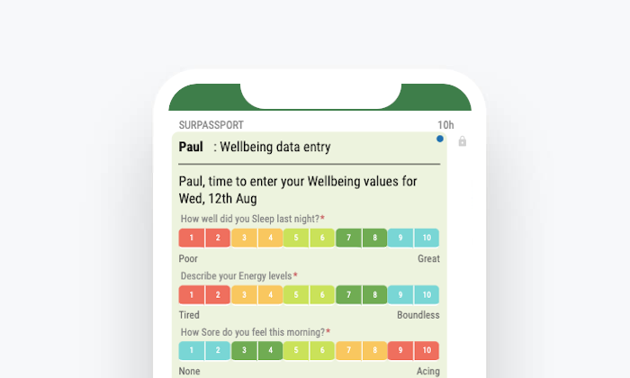 Daily Wellbeing and other subjective measures